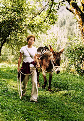 Der Esel mit seinem Begleiter Seite an Seite unterwegs.