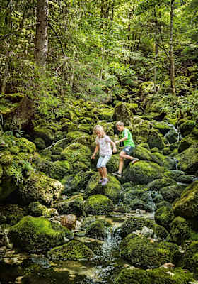 Kinder entdecken das Gelände rund um den See