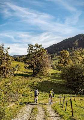 Mountainbiker nehmen den Weg über die Wiese