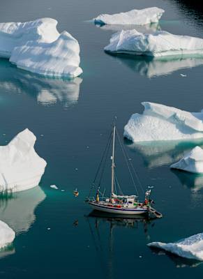 The Adventures of the Dodo