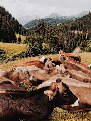 Ernst Merkinger Weitwandern Lechweg