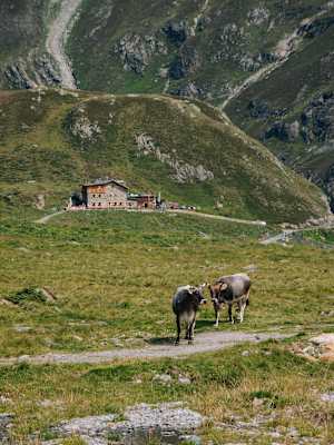 #UNSEREALPEN Alpenverein Amberger Hütte Simon Schöpf
