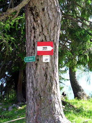 Weitwanderweg 01 - der Nordalpenweg - und die Via Alpina sind gut beschildert.
