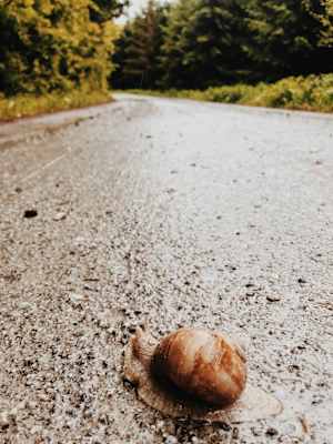 Ernst Merkinger wandert weit Steiermark