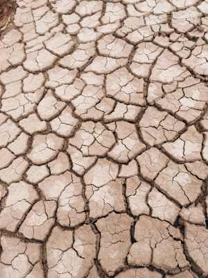 Ana Zirner Colorado River