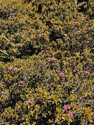 Ernst Merkinger wandert weit KAT Walk