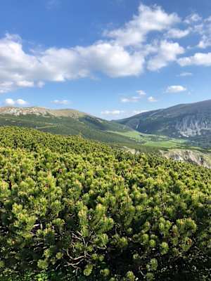 Blick zum Karl-Ludwig-Haus