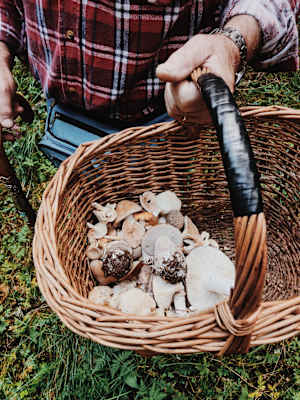 Ernst Merkinger wandert weit Dolomiten Höhenweg