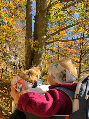 Herbst Wandern mit Kindern