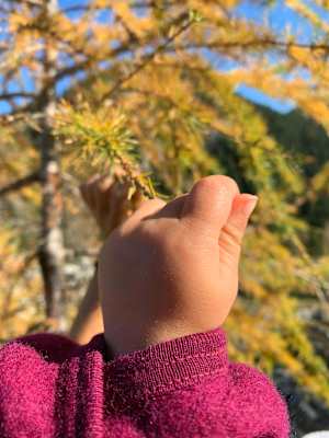 Herbst Wandern mit Kindern