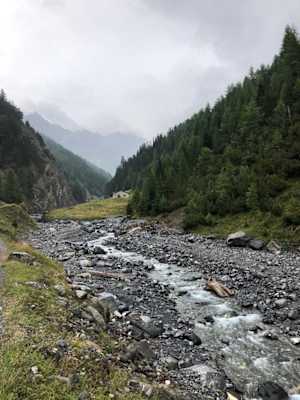 Schweizerischer Nationalpark