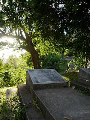 Blue Mountains Jamaika Whitfield Hall