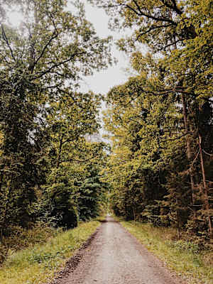 Ernst wandert weit Steiermark