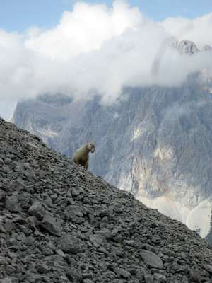 Klettern Coburger Hütte