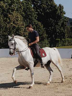 Ernst Merkinger Alpe Adria Trail