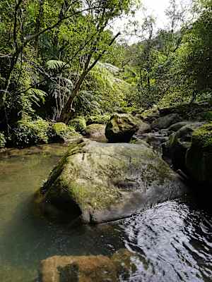 Taiwan Sandiaoling Waterfall Trail Martin Foszczynski