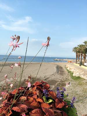 Ana Zirner Pyrenäen