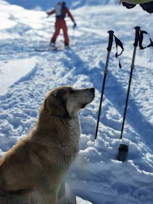 Reise Georgien Winter Freeriden Swanetien