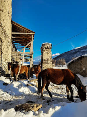 Reise Georgien Winter Freeriden Swanetien