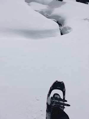 Ana Zirner Colorado River