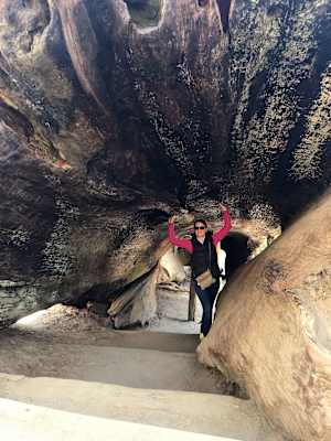 Mammutbäume Kalifornien Sierra Nevada