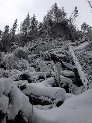 Tatra Zakopane Winter
