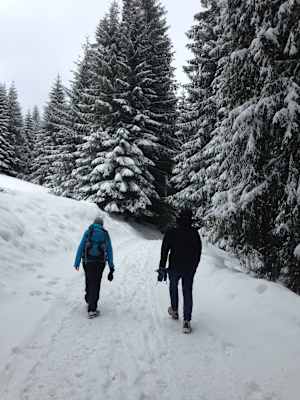 Zakopane Tatra Polen