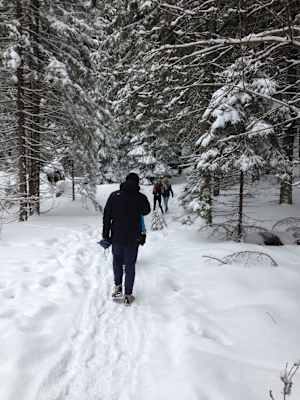 Zakopane Tatra Polen