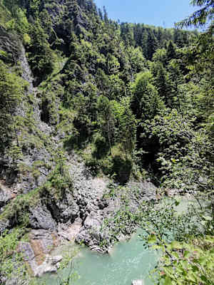 Die Tiefenbachklamm umgeben von Bäumen