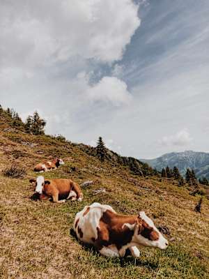 Ernst Merkinger wandert Gastein Trail