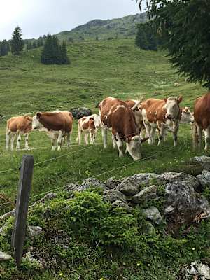Bergwelten Hüttenwoche Saalbach Hinterglemm