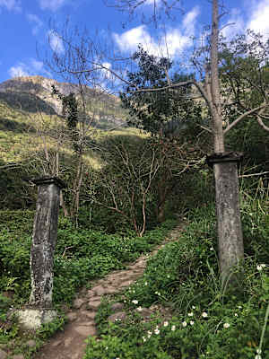 Taroko Zhuilu Old Road Taiwan Blog Martin Foszczynski