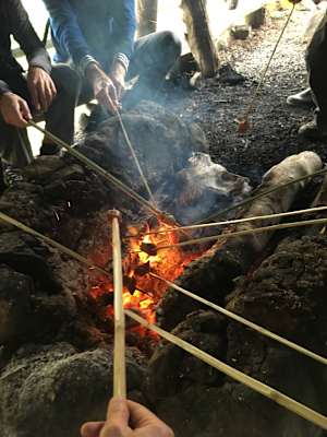 Luan Shan Forest Museum Taiwan Blog Martin Foszczynski