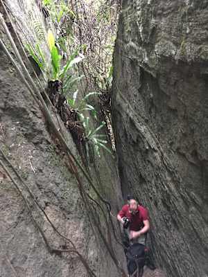 Luan Shan Forest Museum Taiwan Blog Martin Foszczynski