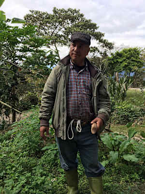 Luan Shan Forest Museum Taiwan Blog Martin Foszczynski