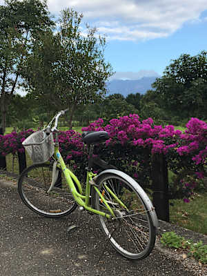 Luan Shan Forest Museum Taiwan Blog Martin Foszczynski