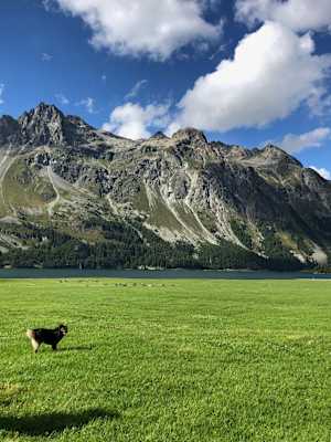 Isola Käserei Cadurisch
