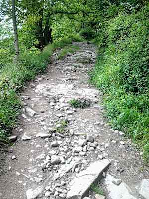 Nikolas Haugeneder Jakobsweg