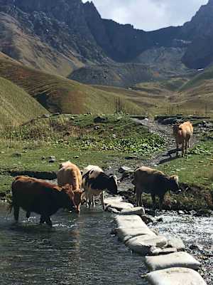 Reise - Wandern in Georgien Juta