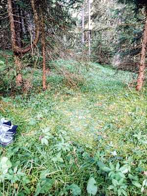 Ana Zirner Alpenüberquerung