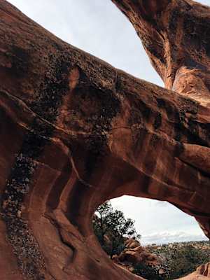 Ana Zirner Colorado River