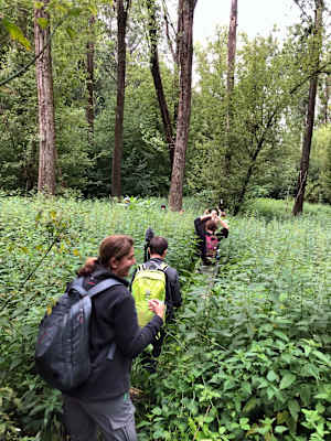 Nationalpark Donau-Auen