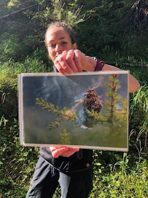 Schweizerischer Nationalpark