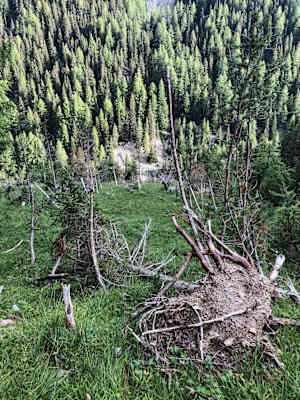 Schweizerischer Nationalpark