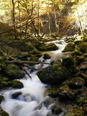 Nationalpark Gesäuse „Indian Summer“