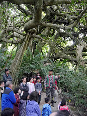 Luan Shan Forest Museum Taiwan Blog Martin Foszczynski