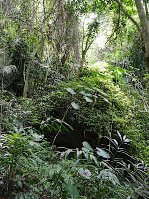 Luan Shan Forest Museum Taiwan Blog Martin Foszczynski