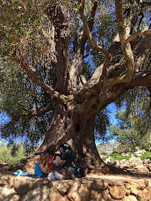 Campingreise mit Kindern VW California