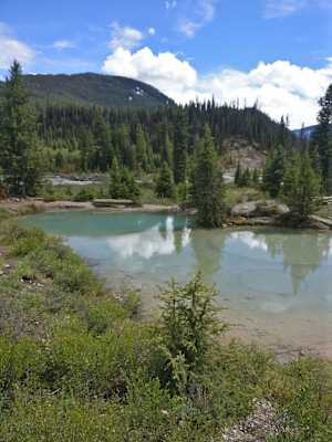 Ink Pots Johnston Canyon