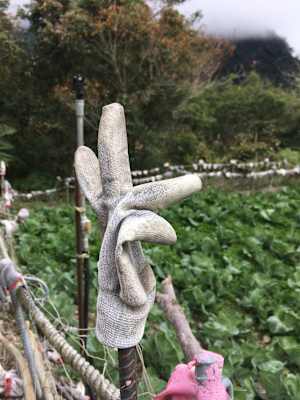 Foto-Galerie: Reise Taiwan